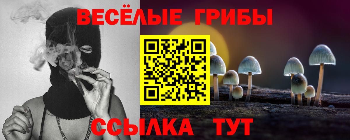 Псилоцибиновые грибы мицелий Зеленокумск